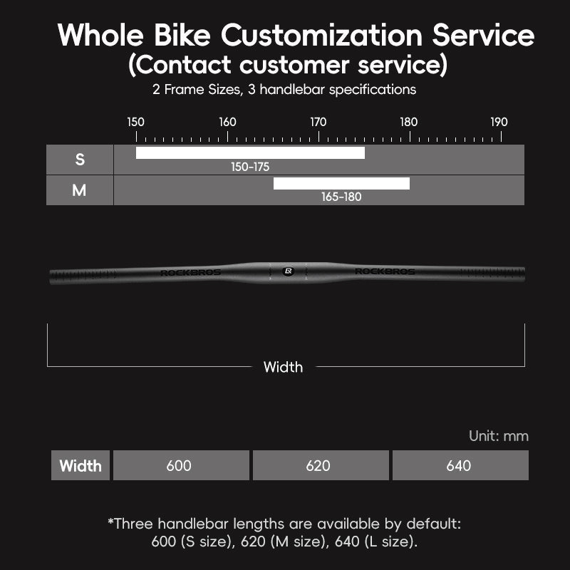 Hoelderlin - Carbon Fiber Flat-Bar Road Bike ¨C Green Black
