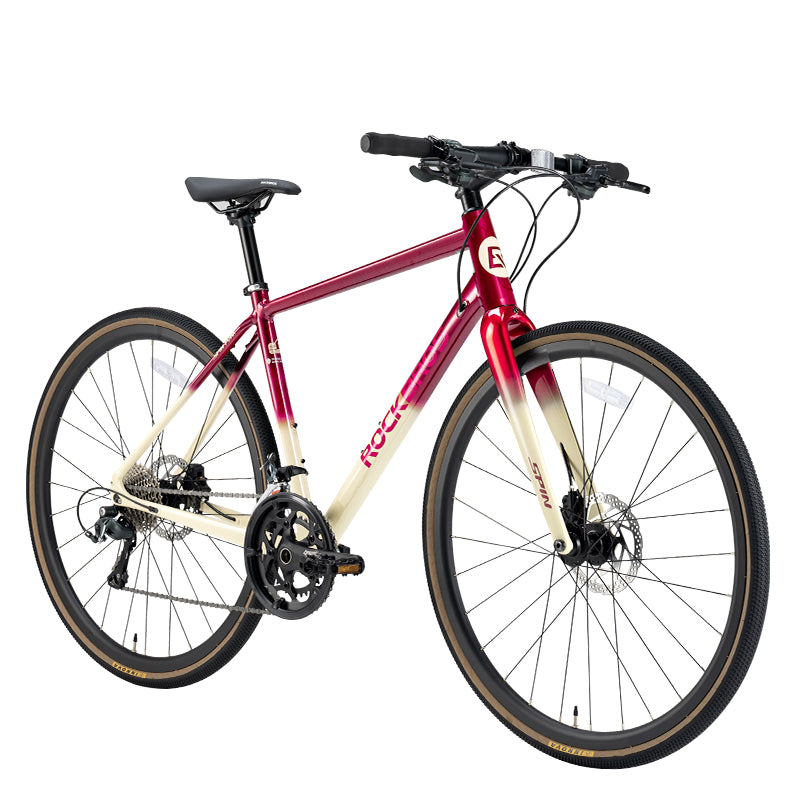 ROCKBROS 20-Speed Flat Handlebar Road Bike Carbon Fiber Fork