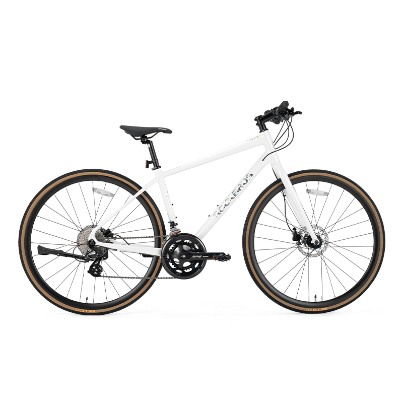 ROCKBROS RIDA P2E Series Road Bike White S 700Cx435