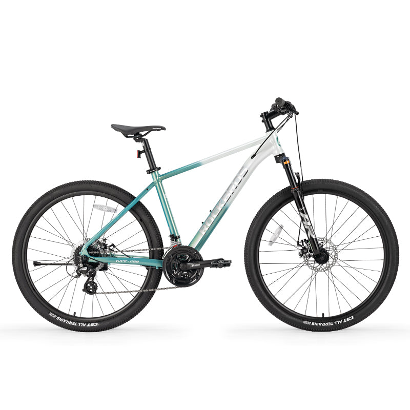 MT200 - Mountain Bike
