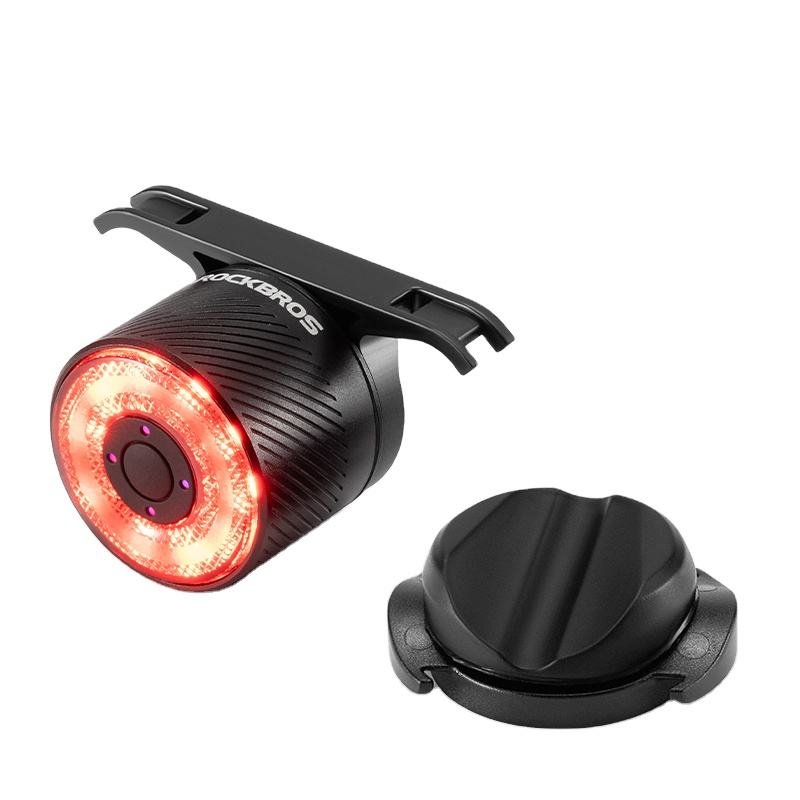 R1/R4 Tail Light Brake sensor USB-C Synchronized