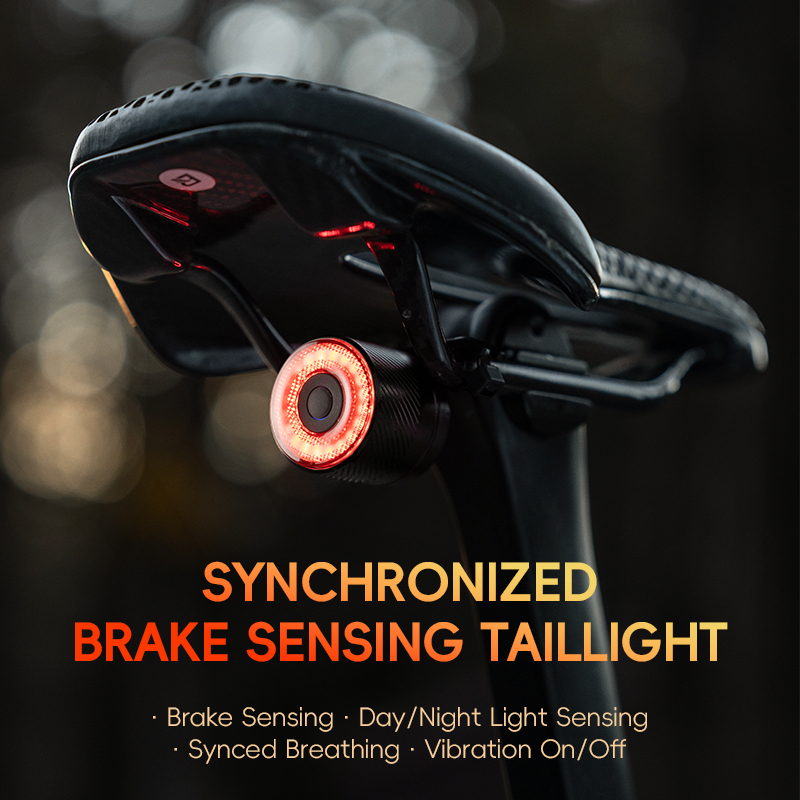R1/R4 Tail Light Brake sensor USB-C Synchronized