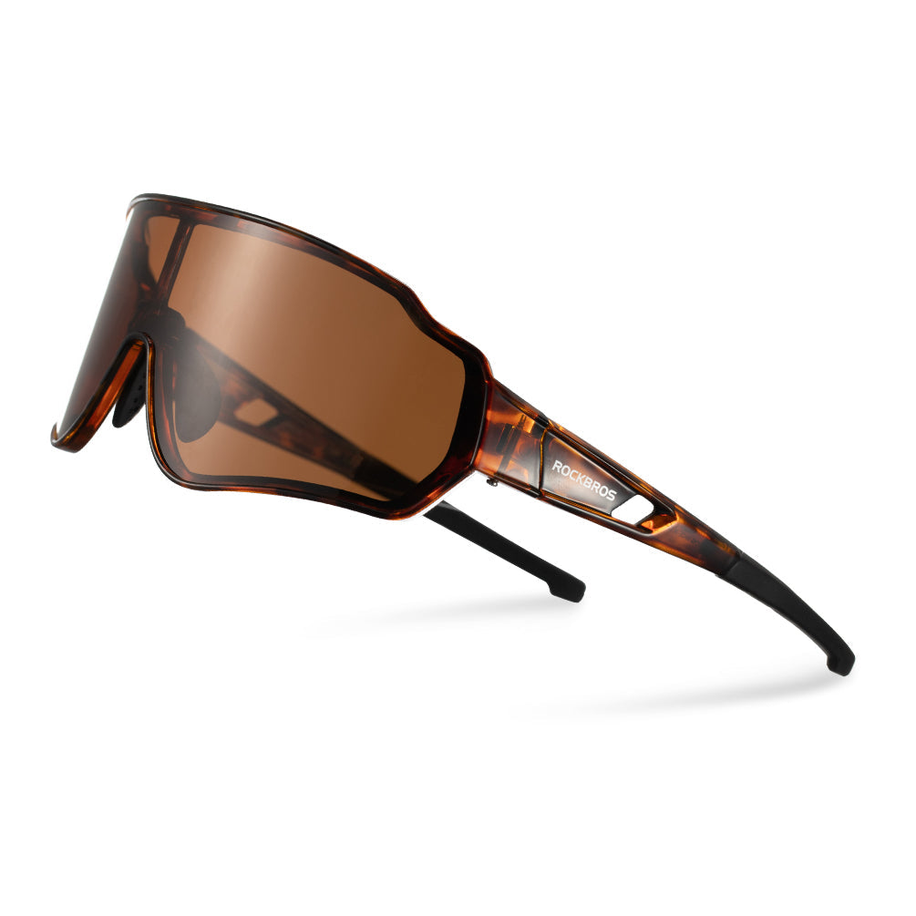 #Color_Polarized-Tortoiseshell