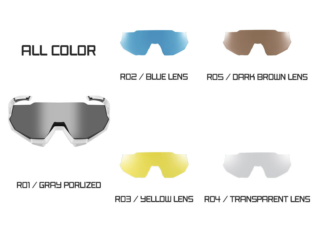 ROCKBROS Polarised Sports Sunglasses with 4 Interchangeable Lens