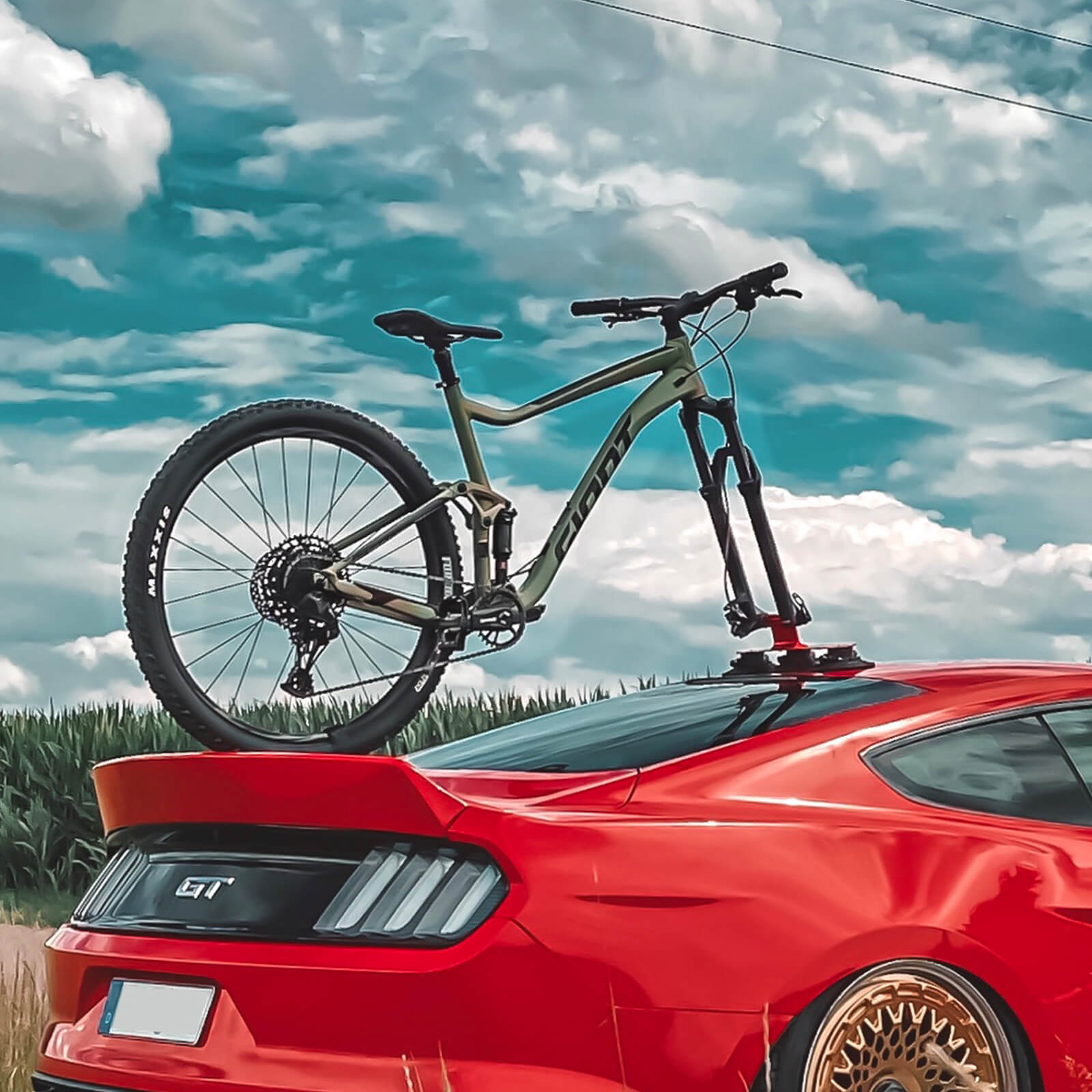 Suction cup bike rack