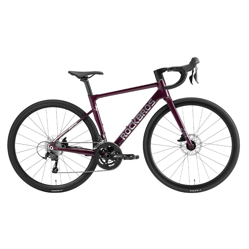 Road Bike S-RIDE 20 Speed Aerodynamic Aluminum Frame Hydraulic