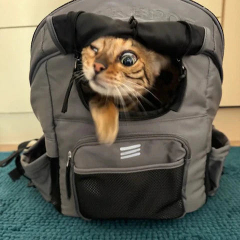 Handlebar Pet Carrier Bag for Brompton & Folding Bikes 21L